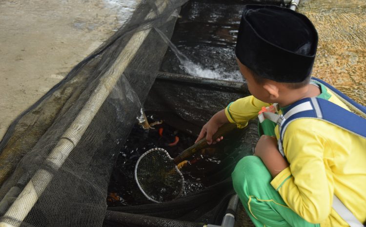  Asyiknya Menjelajahi Pasar Ikan Beji